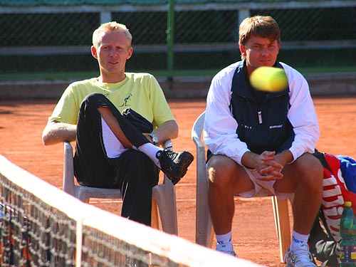 Friedl, koch