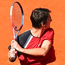 Ladislav Chramosta