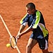 Luk Rosol