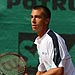 Luk Rosol